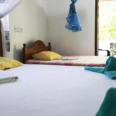 New Chili Lodge Mirissa Extérieur photo